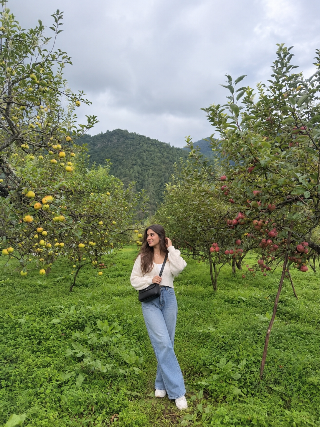 Tripyigo travel moment